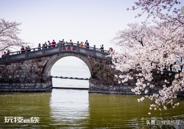 沙发客是什么意思(旅游中沙发客的优点缺点)-图片3